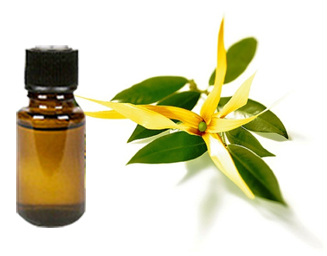 Patchouli Essential Oil